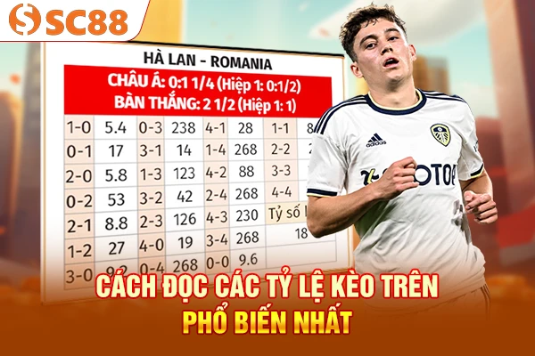 Cách đọc các tỷ lệ kèo trên phổ biến nhất