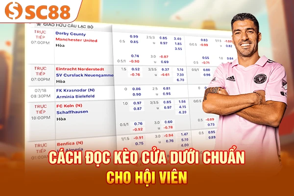 Cách đọc kèo cửa dưới chuẩn cho hội viên