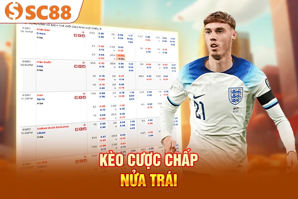 Kèo cược chấp nửa trái