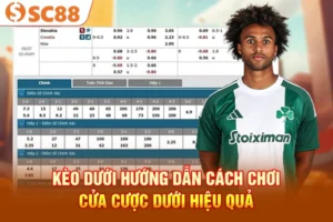 Kèo Dưới - Hướng Dẫn Cách Chơi Cửa Cược Dưới Hiệu Quả