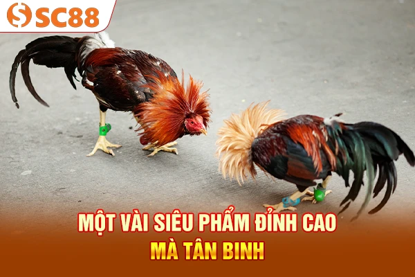 Một vài siêu phẩm đỉnh cao mà tân binh