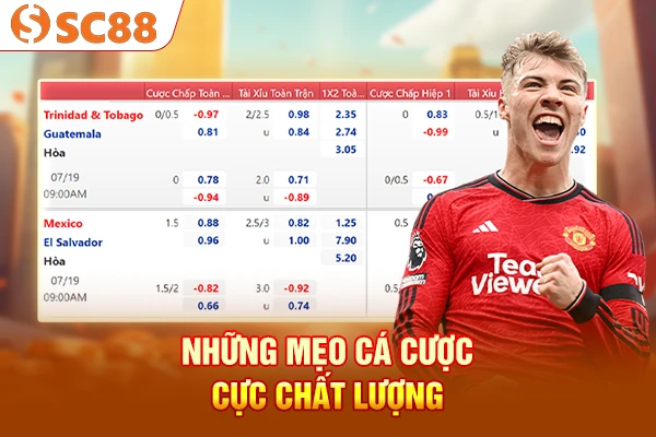 Những mẹo cá cược cực chất lượng