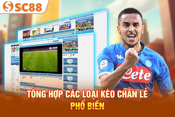 Tổng hợp các loại kèo chẵn lẻ phổ biến