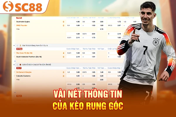 Vài nét thông tin của kèo rung góc 