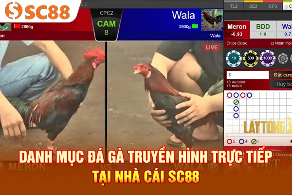 Danh mục Đá gà truyền hình trực tiếp tại nhà cái SC88